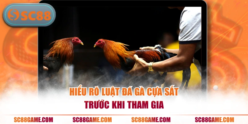 Hiểu rõ luật đá gà cựa sắt trước khi tham gia